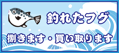 釣れたフグ、捌きます・買い取ります